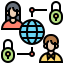 network